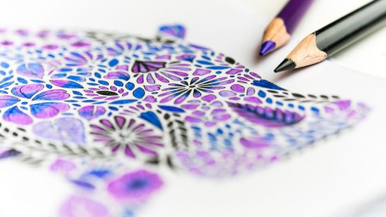 Adult colouring books – Credit: Kim Faires