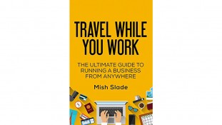 Travel While You Work cover