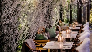 Dalloway Terrace