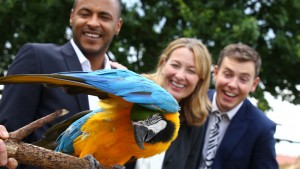 Chessington World of Adventures Resort