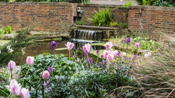 BMA House garden