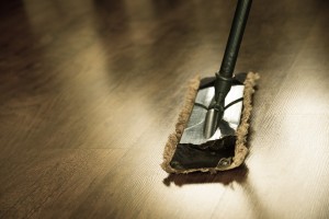 mop cleaning a wooden floor