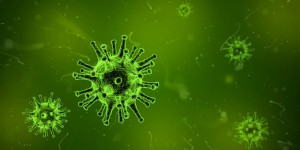 flu