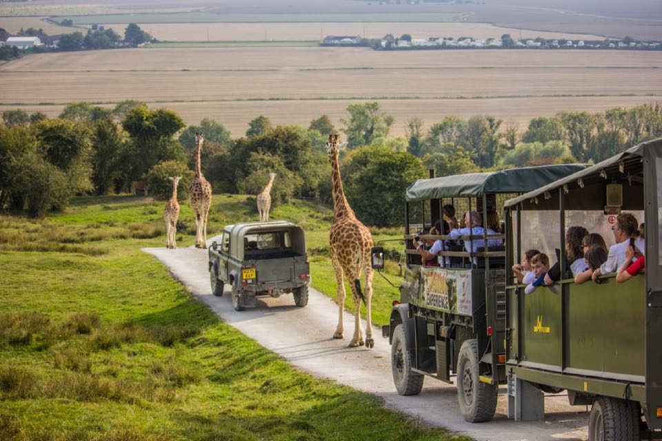 CHECKING IN: Unleash your wild side at Port Lympne · PA Life