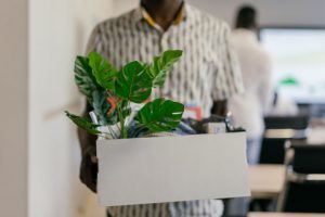 pornography-at-workplace-means-an-instant-dismissal-in-most-cases