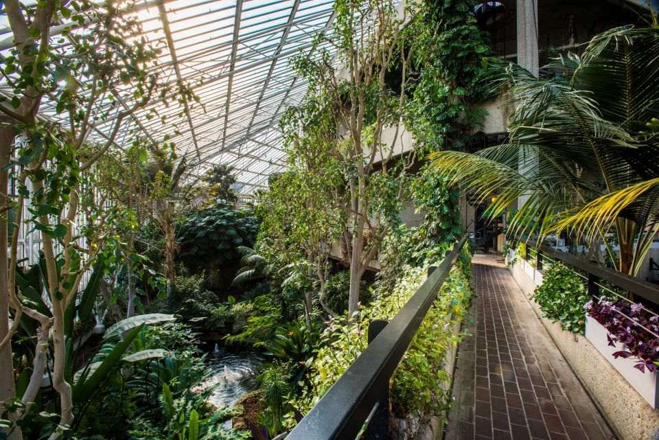 Barbican-Conservatory-corporate-evetn-spaces-PA-Life-Club-Meet-Up