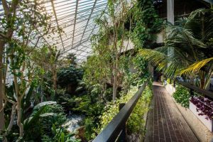 barbican-conservatory-PA-Life-Club-breakfast