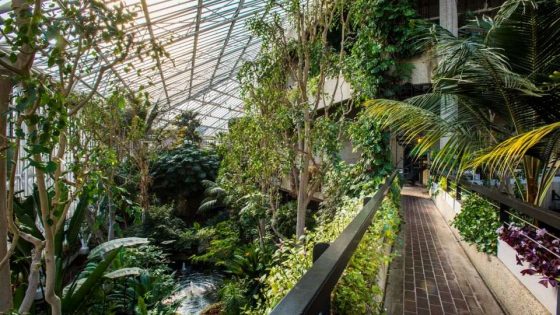 barbican-conservatory-PA-Life-Club-breakfast