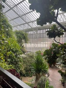 Barbican-conservatory-PA-Life-Club-breakfast