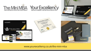 your-excellency-mini-mba