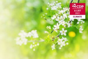 climate-A-list-Konica-Minolta-rewarded-for-sustainability-achievements