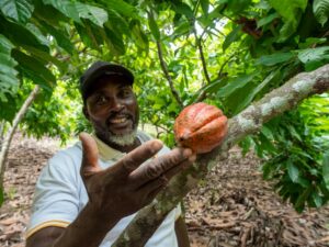 win-a-forest-by-Treedon-with-PA-Life-Club-competition