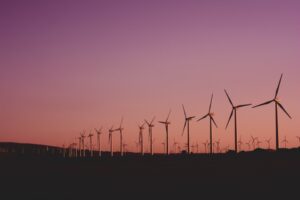 working on greenwashing campaigns without qualifications
