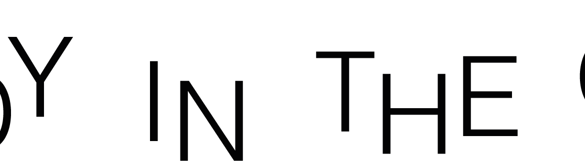 nice-n-spiky-logo