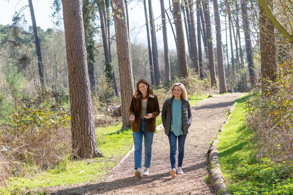 Center-Parcs-forest-walk-feel-good-factor-at-corporate-events