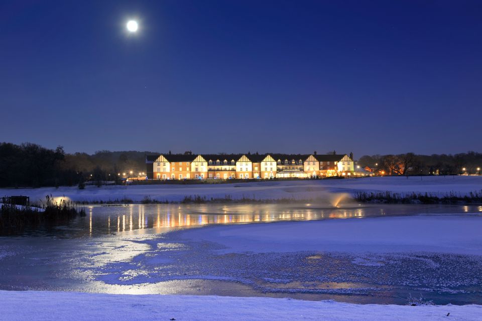 estate park in the snow